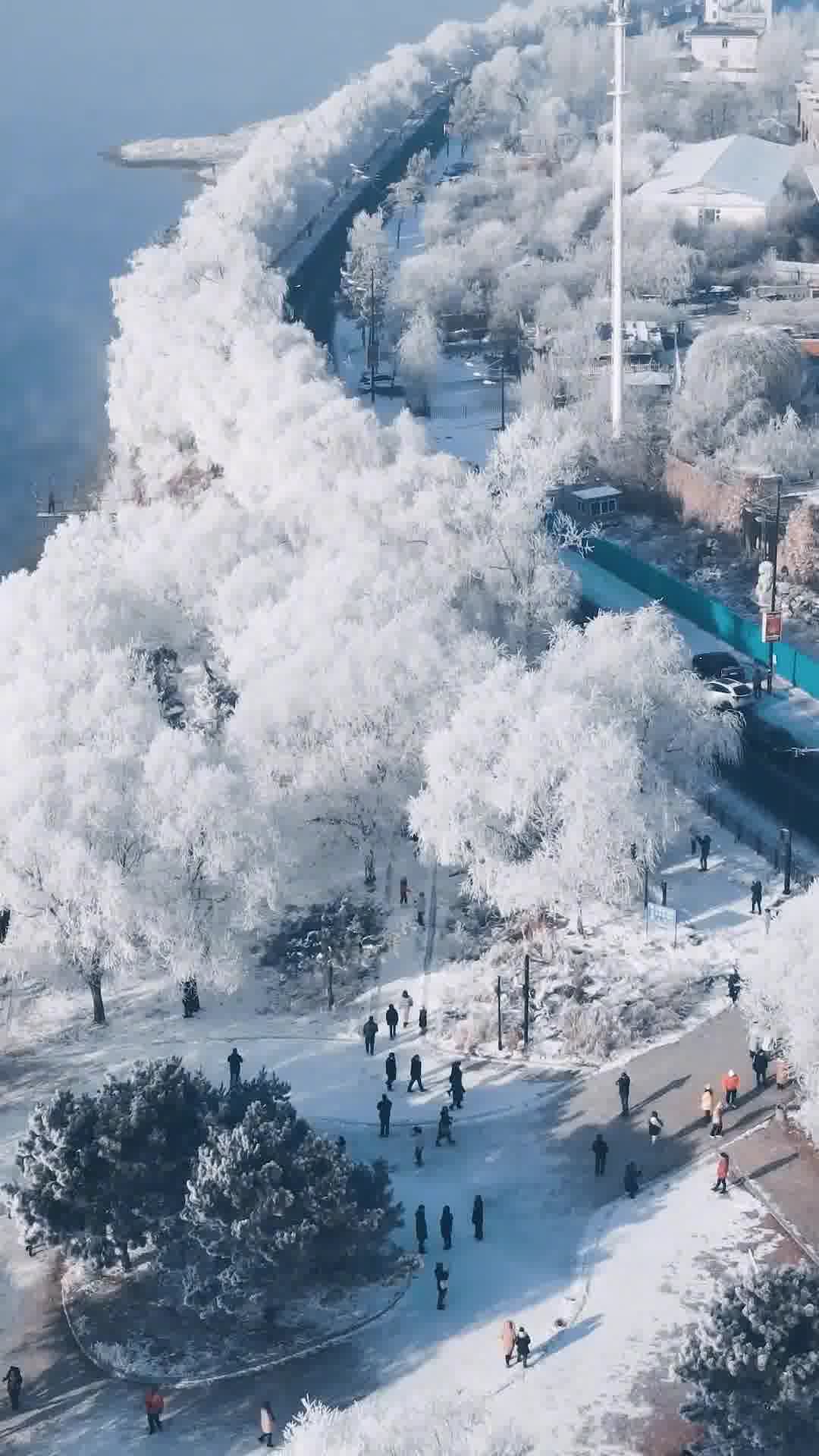 吉林——北国江城，魅力吉林播音稿全景