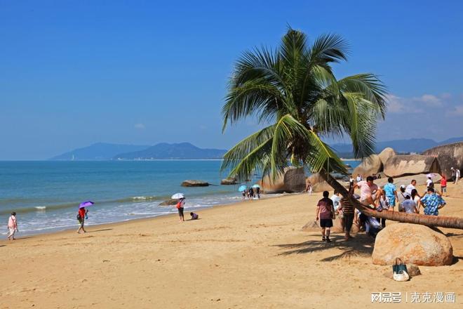 海南阳光日记，记录椰风海韵的温暖时光